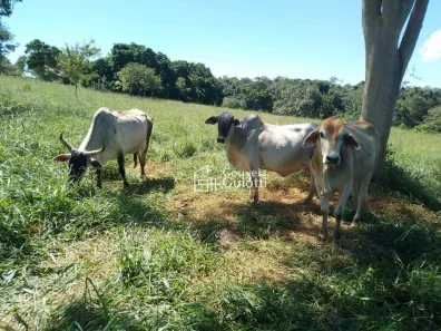 Fazenda/Sítio à venda, 28000m² no , Pirenópolis