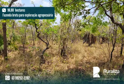 Fazenda/Sítio à venda, 63m² no , Pedro Afonso