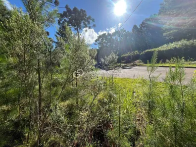 Lote/Terreno à venda, 609m² no Dutra, Gramado
