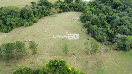 Fazenda/Sítio com 10 Quartos à venda, 2000m² no , Porto Feliz