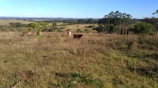 Fazenda/Sítio com 4 Quartos à venda, 150m² no Estância Grande, Viamão