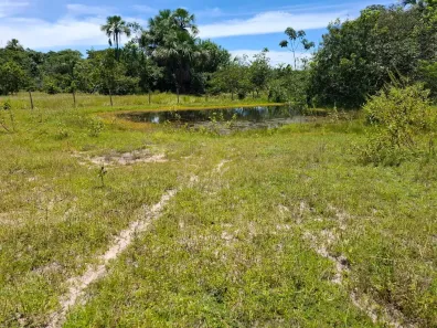 Fazenda/Sítio com 3 Quartos à venda, 2196760m² no , Faina