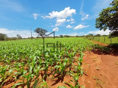 Fazenda/Sítio com 2 Quartos à venda, 96800m² no Edilândia, Cocalzinho de Goiás