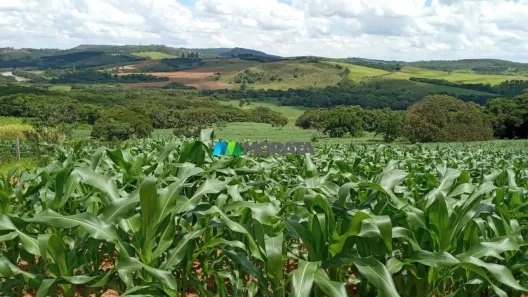 Fazenda/Sítio com 1 Quarto à venda, 132m² no , Bom Sucesso