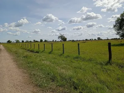 Fazenda/Sítio à venda, 50000000m² no Centro, São José do Rio Preto