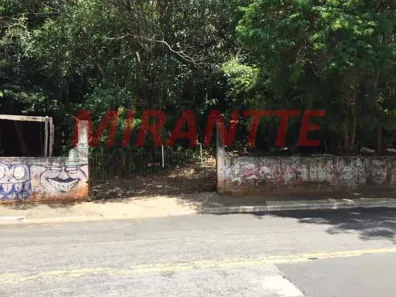 Lote/Terreno à venda, 5222m² no Horto Florestal, São Paulo
