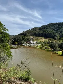 Lote/Terreno à venda, 5000m² no , Alfredo Chaves