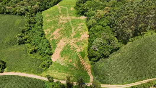Fazenda/Sítio à venda, 23000m² no Campo Alegre, Campo Alegre