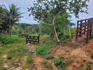 Fazenda/Sítio à venda, 103000m² no , Barreiros