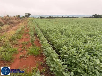 Lote/Terreno à venda, 32m² no Setor Central, Montes Claros de Goiás