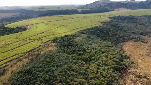 Fazenda/Sítio à venda, 1694000m² no Vila Rezende, Piracicaba