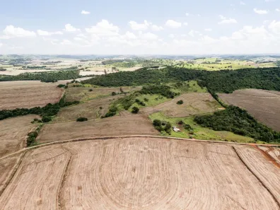 Fazenda/Sítio com 3 Quartos à venda, 484000m² no Selva, Londrina