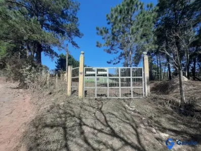 Galpão/Depósito/Armazém para alugar, 850m² no Pau Arcado, Campo Limpo Paulista