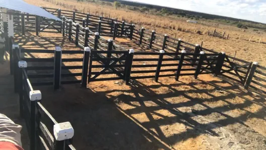 Fazenda/Sítio com 3 Quartos à venda, 150m² no , Buritizeiro