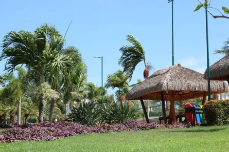 Lote/Terreno à venda, 450m² no Pium (Distrito Litoral), Parnamirim