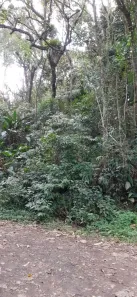 Lote/Terreno à venda, 2650m² no Quarta Divisão, Ribeirão Pires