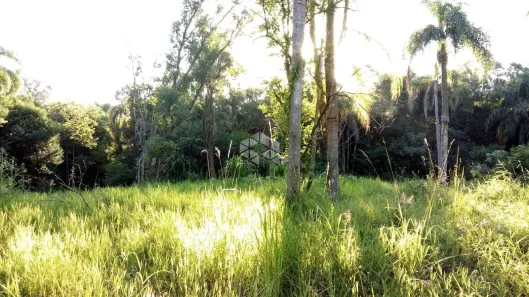Fazenda/Sítio à venda, 30000m² no Dos Boêmios, Nova Petrópolis