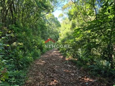Lote/Terreno à venda, 129000m² no Centro, São Francisco de Paula
