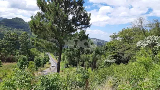 Fazenda/Sítio com 1 Quarto à venda, 21147m² no Linha Nova, Linha Nova