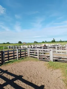 Fazenda/Sítio à venda, 2976600m² no , Porto Esperidião