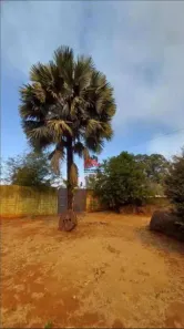 Lote/Terreno à venda, 2250m² no Jockey Park, Uberaba