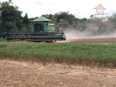 Fazenda/Sítio à venda, 10030000m² no Pioneiro, Lucas do Rio Verde