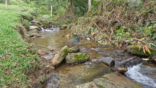 com 2 Quartos à venda, 10m² no Centro, Pindamonhangaba