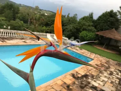 Casa de Condomínio com 6 Quartos à venda, 770m² no Portal das Acácias, Santana de Parnaíba