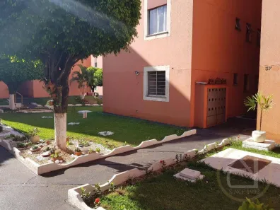 Apartamento com 3 Quartos à venda, 58m² no Jardim Santa Cruz, Londrina