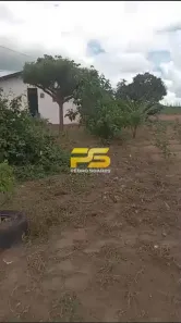 Fazenda/Sítio com 2 Quartos à venda, 3384m² no , Riachão do Poço