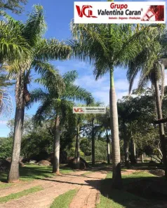 Fazenda/Sítio com 4 Quartos à venda, 750m² no Pimenta, Indaiatuba