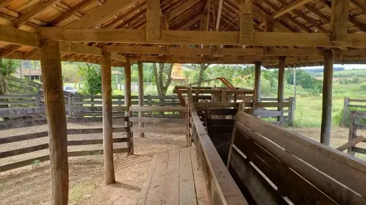 Fazenda/Sítio à venda, 1573000m² no Centro, Taciba