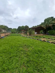Fazenda/Sítio com 2 Quartos à venda, 48m² no , Adolfo