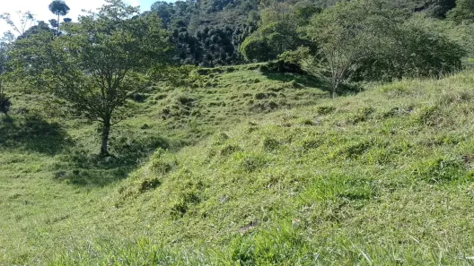 Fazenda/Sítio com 3 Quartos à venda, 30000m² no , Pedralva