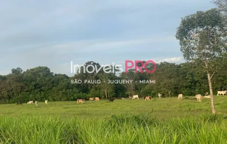 Fazenda/Sítio à venda, 70000000m² no São Félix do Araguaia, São Félix do Araguaia