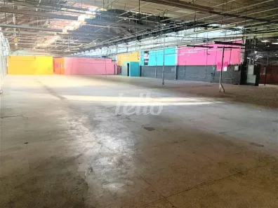 Galpão/Depósito/Armazém para alugar, 6219m² no Vila Ribeiro de Barros, São Paulo