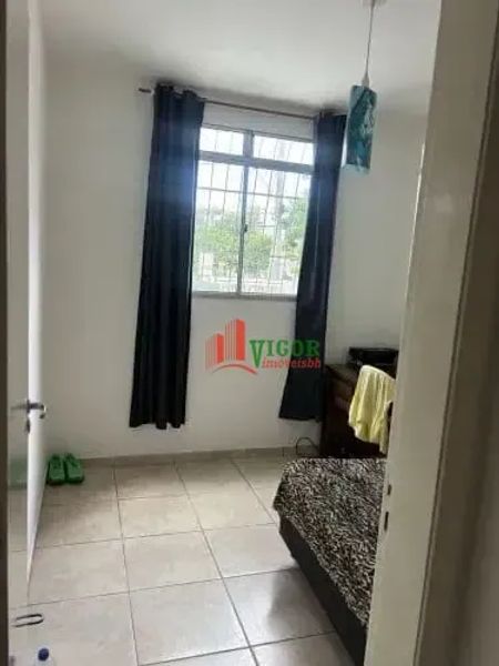 Foto 19