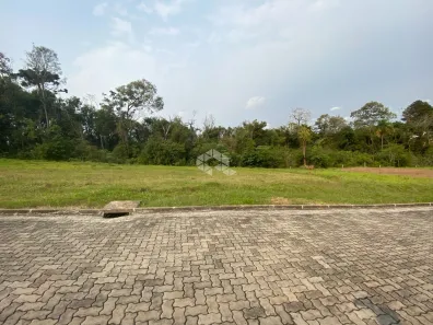 Lote/Terreno à venda, 313m² no Renascença, Santa Cruz do Sul