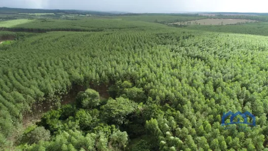 Fazenda/Sítio com 1 Quarto à venda, 2388540m² no Área Rural de Botucatu, Botucatu