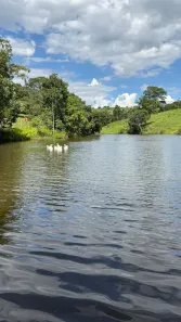 Fazenda/Sítio à venda, 4m² no , São Miguel do Passa Quatro
