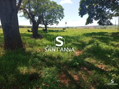 Fazenda/Sítio com 3 Quartos à venda, 4m² no Centro, Indiaporã