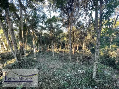 Lote/Terreno à venda, 595m² no Monte Alegre, Paty do Alferes