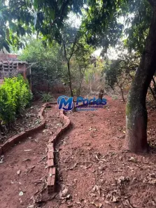 Fazenda/Sítio com 3 Quartos à venda, 1000m² no Jardim Alvorada, São José do Rio Preto