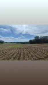 Fazenda/Sítio com 1 Quarto à venda, 490000m² no , Santa Cruz da Esperança