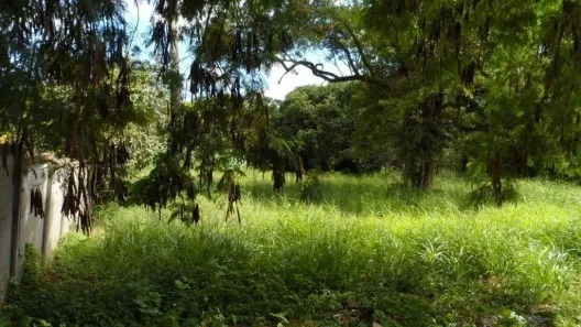 Lote/Terreno à venda, 4015m² no Jardim Tatuí, Tatuí