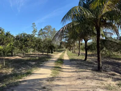 Fazenda/Sítio com 2 Quartos à venda, 45000m² no , Silva Jardim