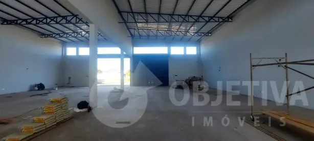 Galpão/Depósito/Armazém para alugar, 230m² no Segismundo Pereira, Uberlândia