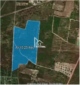 Fazenda/Sítio com 1 Quarto à venda, 110000m² no , São Miguel do Gostoso