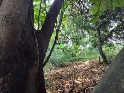 Lote/Terreno à venda, 2400m² no Brant, Lagoa Santa