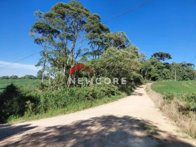 Fazenda/Sítio com 1 Quarto à venda, 5000m² no Colônia Murici, São José dos Pinhais